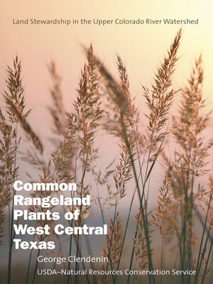 cover image of Common Rangeland Plants of West Central Texas